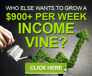 Moola Vine